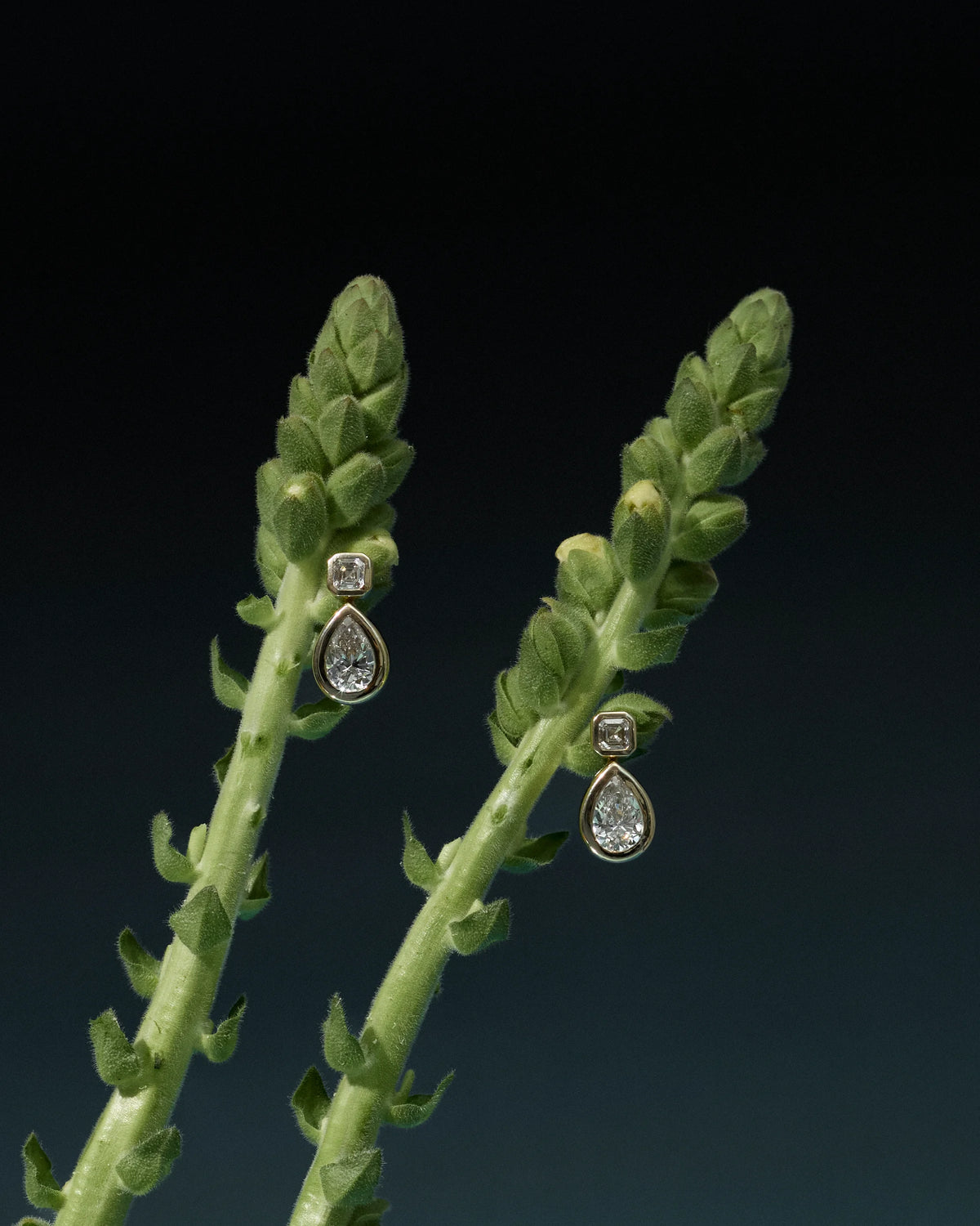 The Pear and Asscher-Cut Diamond Bezel Drop Earrings