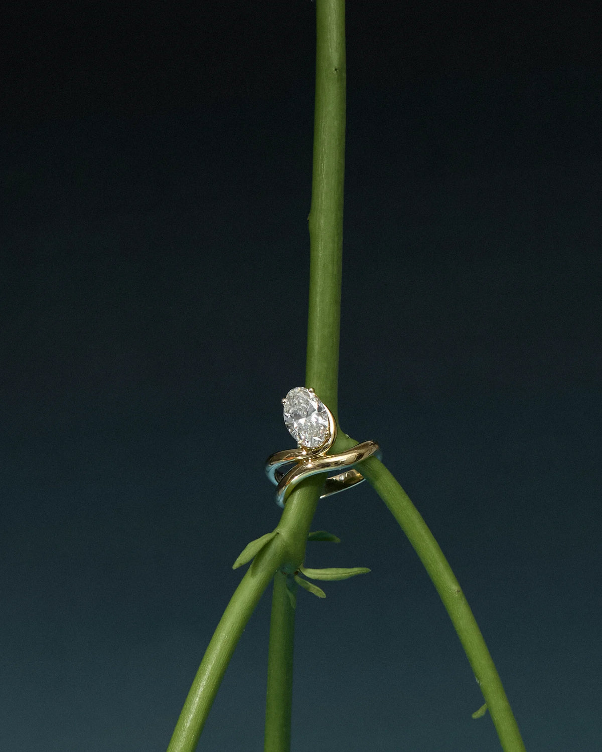 The Oval Diamond Wave Ring